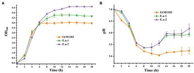 Metabolic Engineering of Enterobacter aerogenes for Improved 2,3-Butanediol Production by Manipulating NADH Levels and Overexpressing the Small RNA RyhB